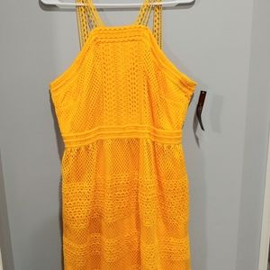 Honey Dress by Tahari, size 12, NWT